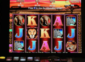 595cc开元官网版免费版