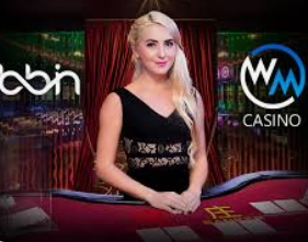 595cc开元官网版免费版